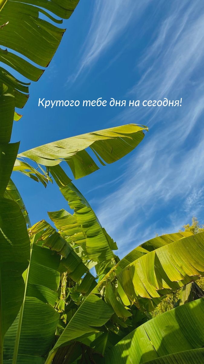 Крутого тебе дня на сегодня!