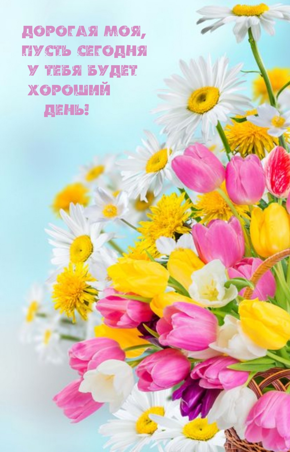 Дорогая моя, пусть сегодня у тебя будет хороший день!
