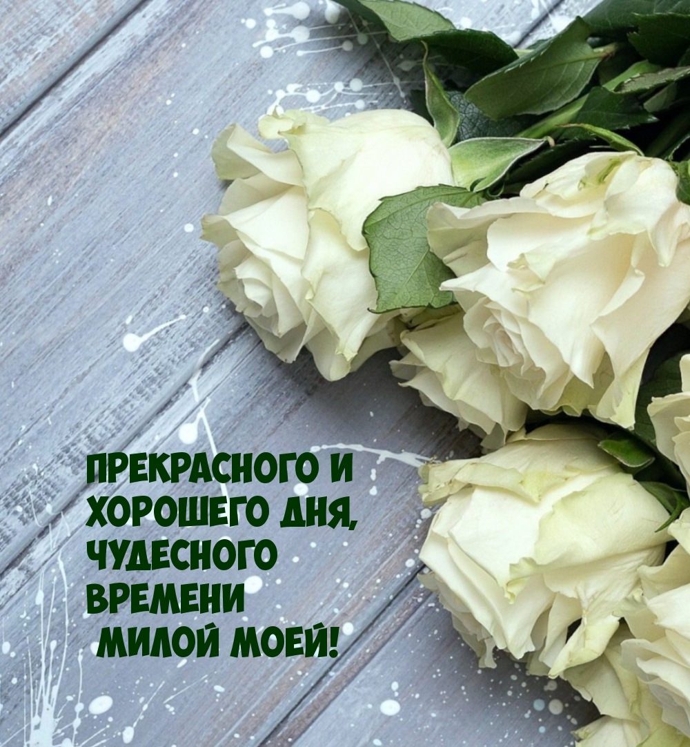Прекрасного и хорошего дня, чудесного времени милой моей!