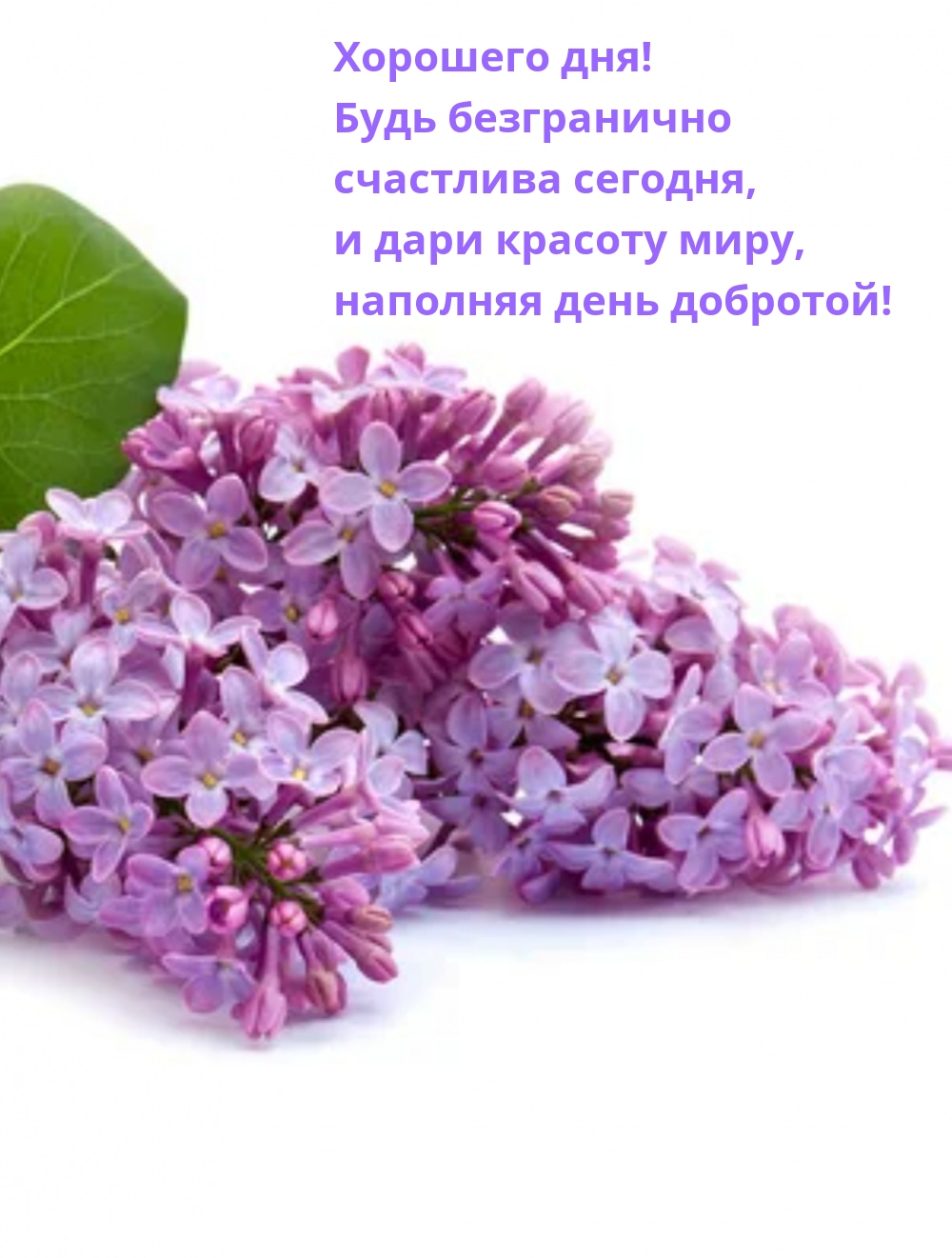 Хорошего дня! Будь безгранично счастлива сегодня
