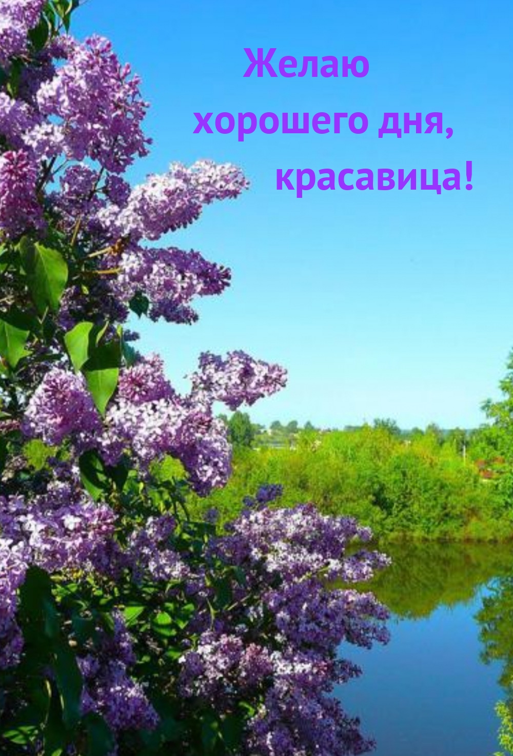 Желаю хорошего дня, красавица!