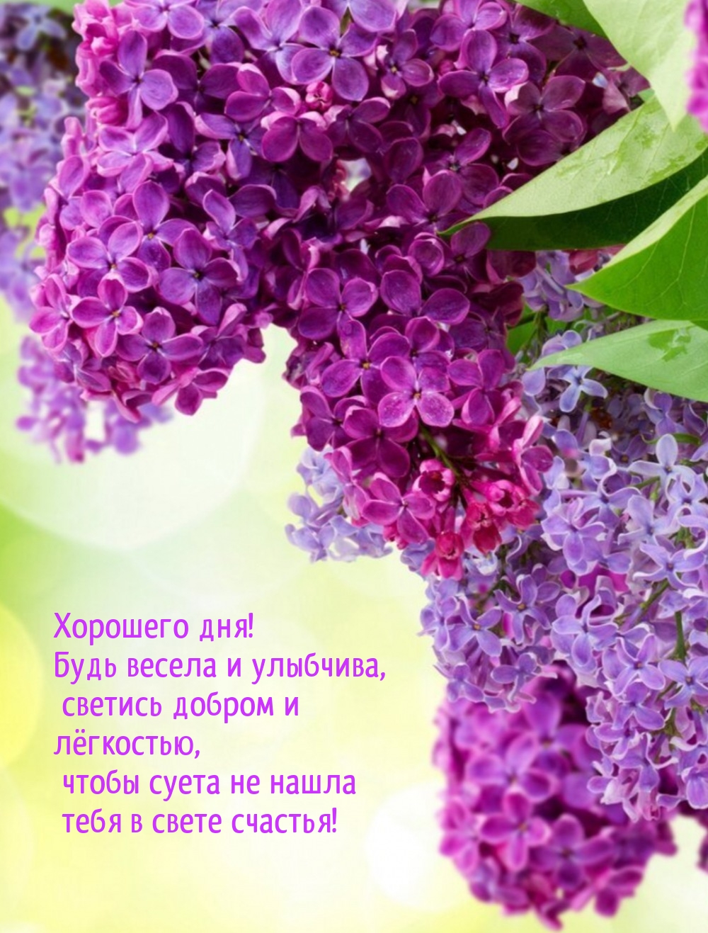 Хорошего дня! Будь весела и улыбчива, светись добром и лёгкостью