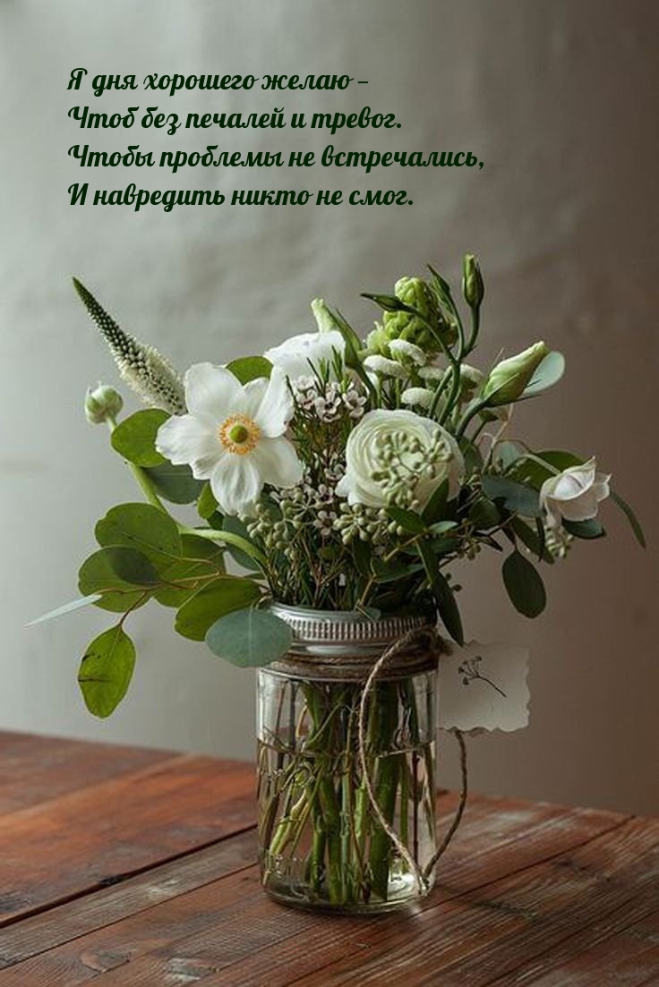 Я дня хорошего желаю — чтоб без печалей и тревог.