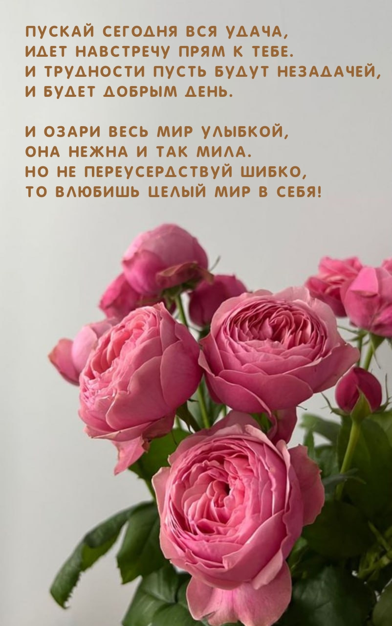 Пускай сегодня вся удача, идет навстречу прям к тебе.
