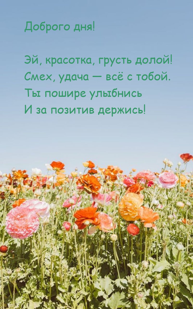 Доброго дня! Эй, красотка, грусть долой! Смех, удача — всё с тобой.