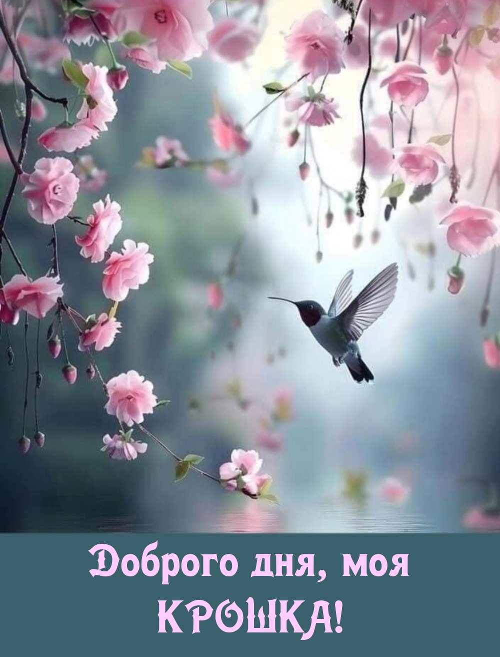 Доброго дня, моя крошка!