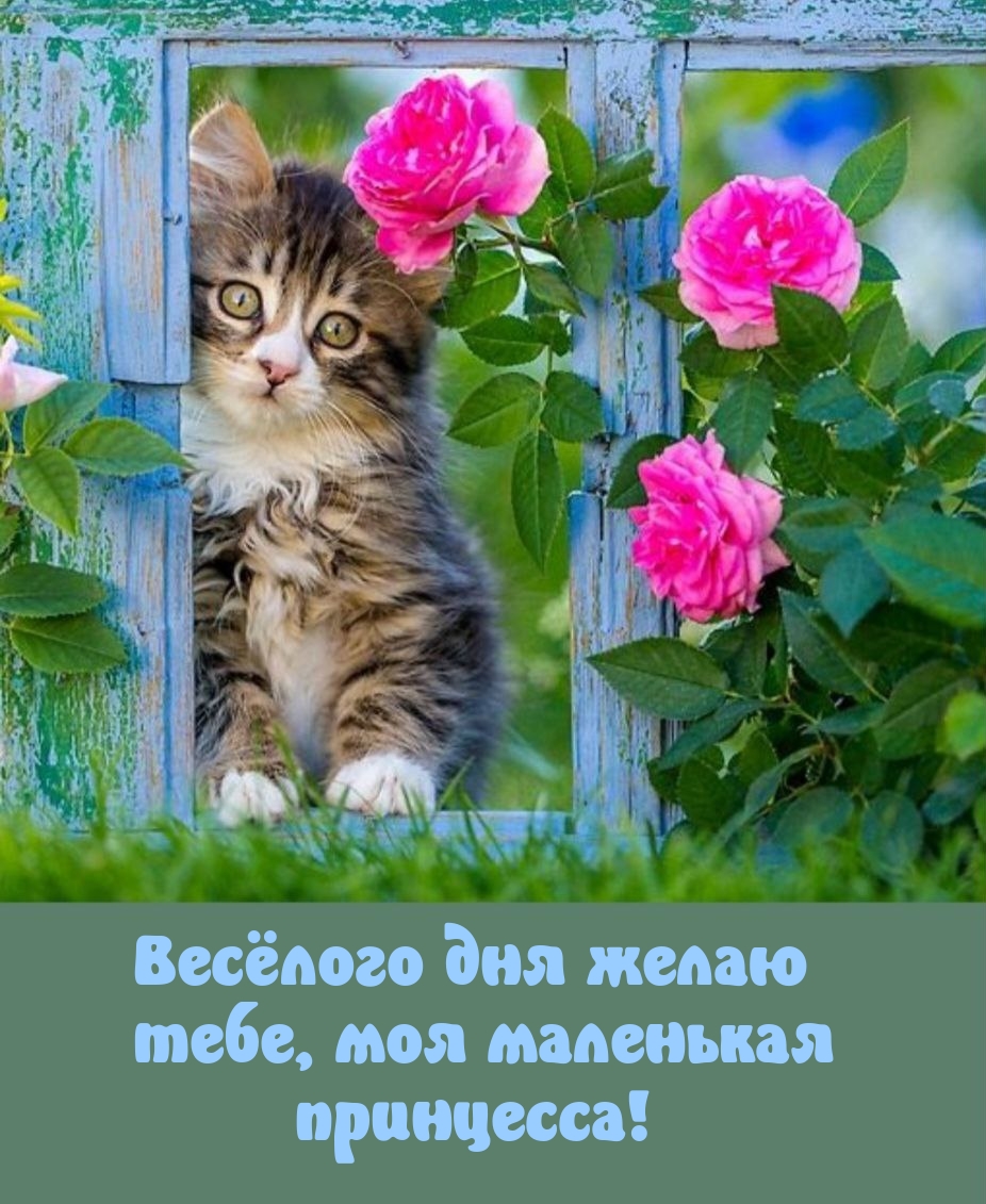 Весёлого дня желаю тебе, моя маленькая принцесса!