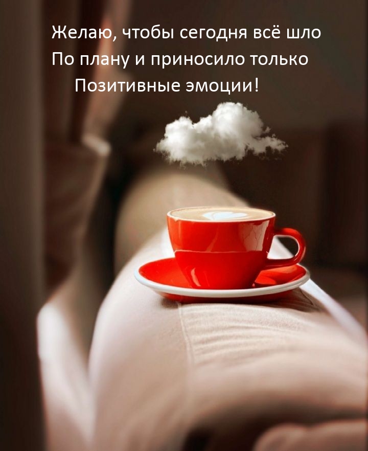 Чтобы сегодня всё шло по плану и приносило позитивные эмоции!