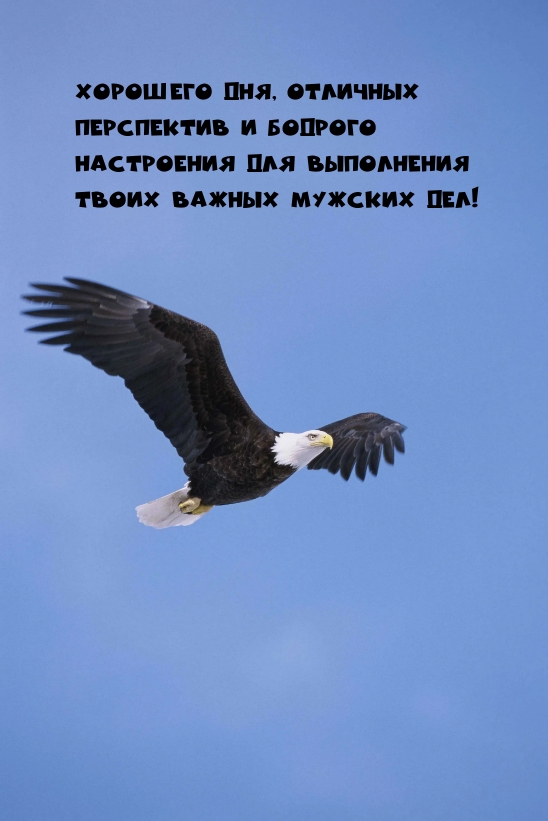 Хорошего дня, отличных перспектив и бодрого настроения 