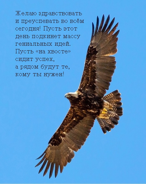 Желаю здравствовать и преуспевать во всём сегодня! 