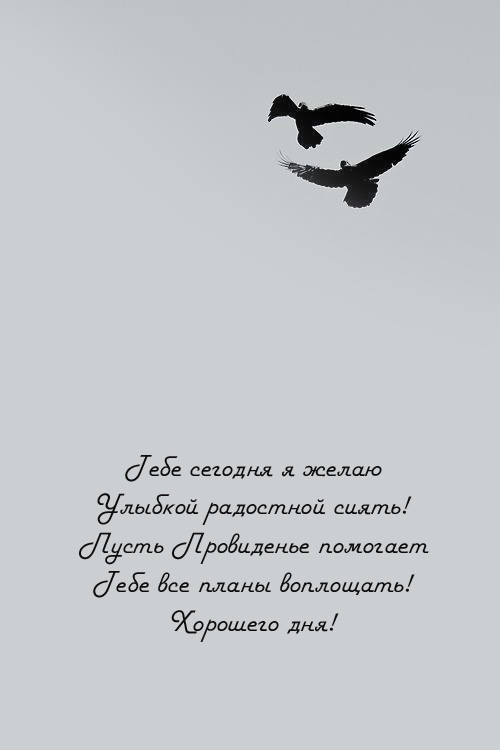 Тебе сегодня я желаю улыбкой радостной сиять! Хорошего дня!