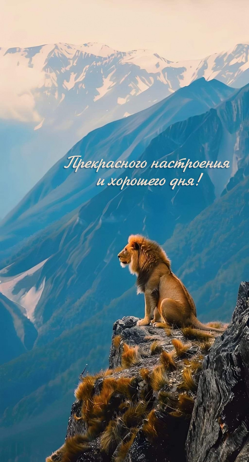 Прекрасного настроения и хорошего дня!