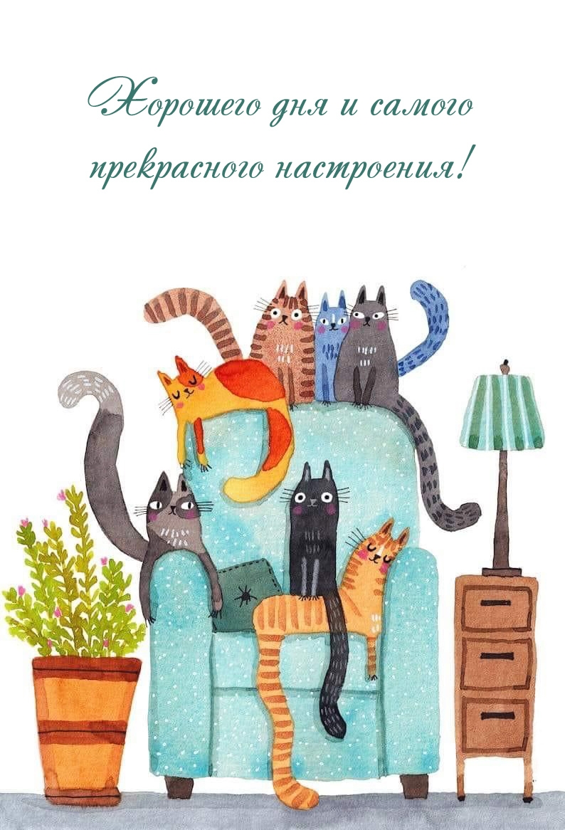 Хорошего дня и самого прекрасного настроения!