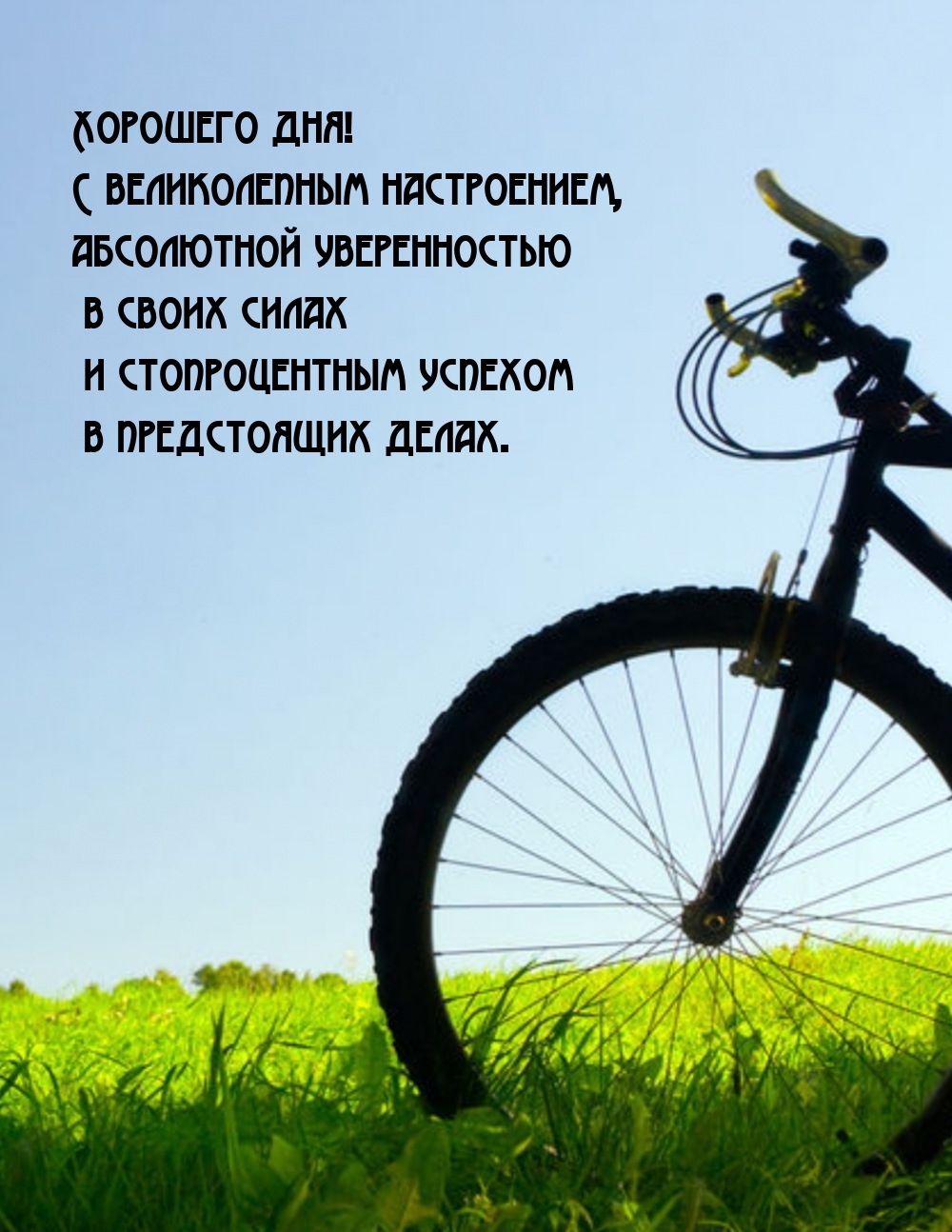 Хорошего дня! С великолепным настроением