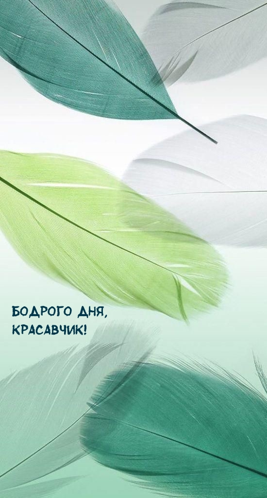 Бодрого дня, красавчик!