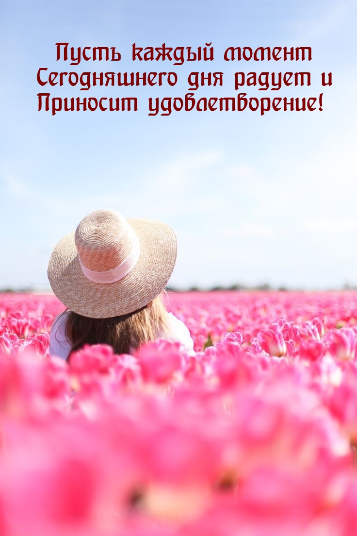 Пусть каждый момент сегодняшнего дня радует 