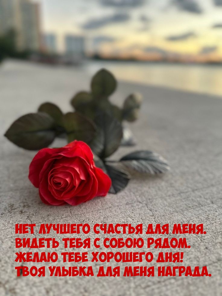 Желаю тебе хорошего дня! Твоя улыбка для меня награда.