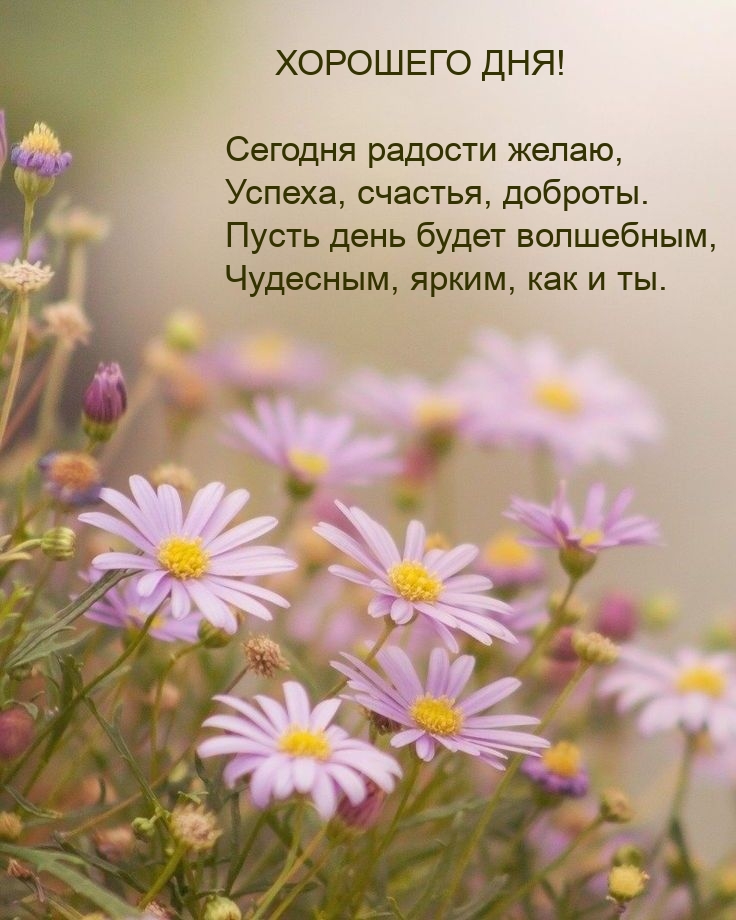 Хорошего дня! Сегодня радости желаю