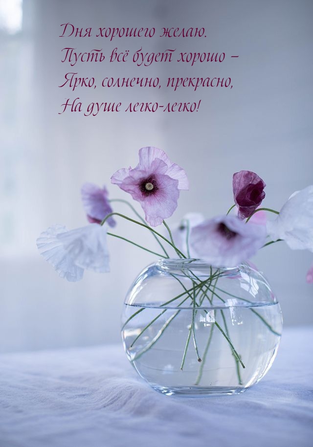 Дня хорошего желаю. Пусть всё будет хорошо 