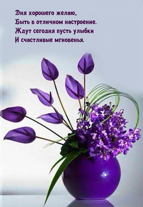 Дня хорошего желаю, быть в отличном настроение.