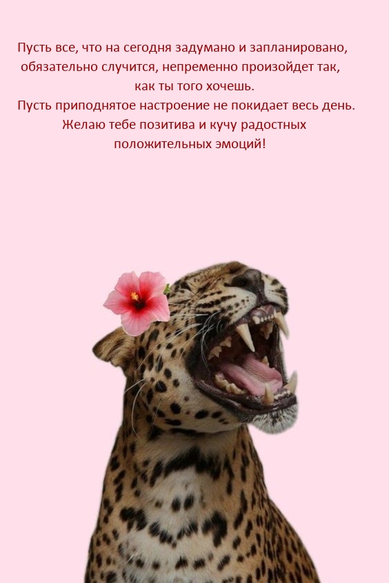 Пусть все, что на сегодня задумано и запланировано случится