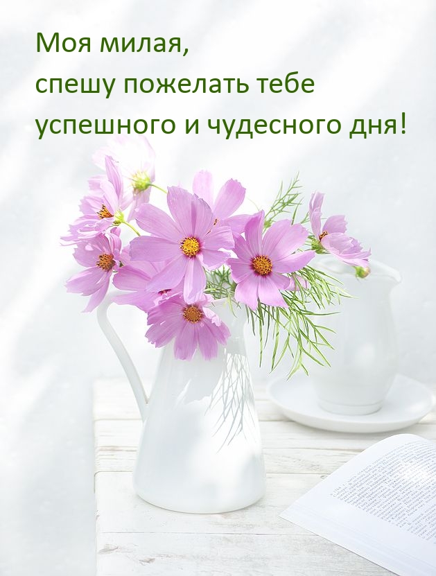 Моя милая, спешу пожелать тебе успешного и чудесного дня! 