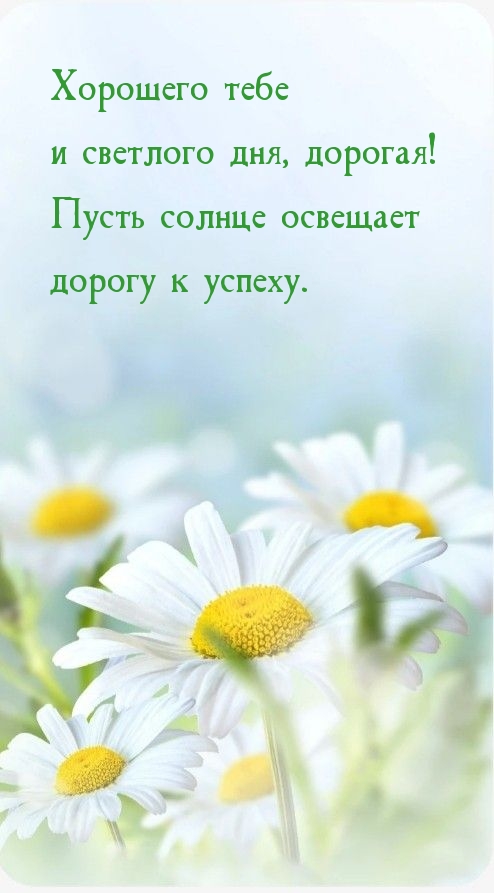 Хорошего и светлого дня, дорогая! Пусть солнце освещает дорогу к успеху.