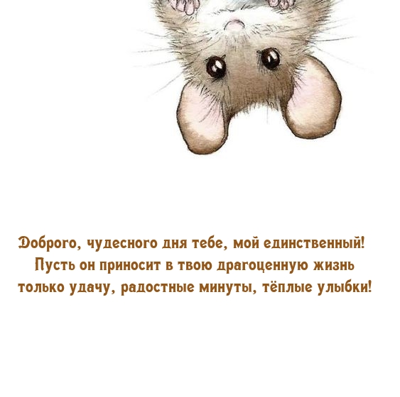Доброго, чудесного дня тебе, мой единственный! 