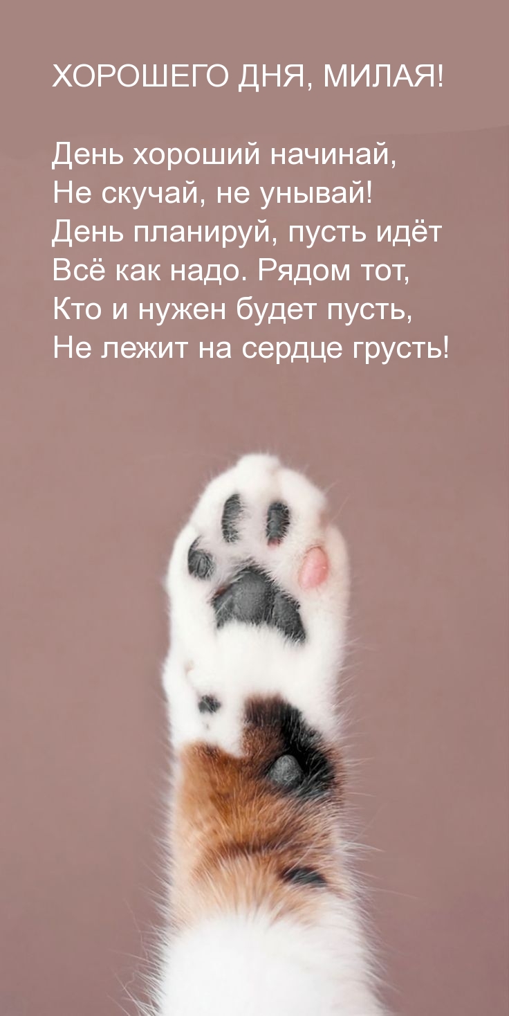 Хорошего дня, милая! День хороший начинай, не скучай, не унывай!