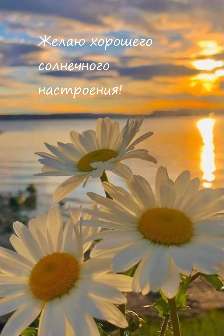 Желаю хорошего солнечного настроения!