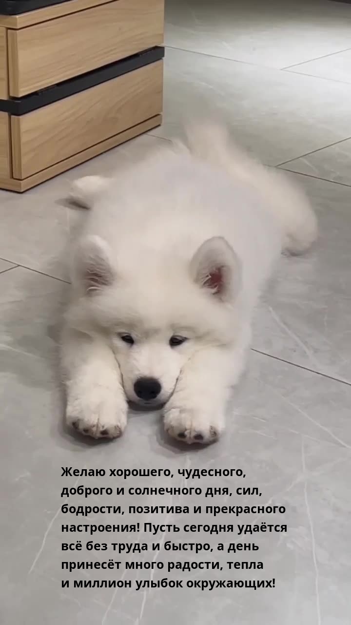 Желаю хорошего, чудесного, доброго и солнечного дня, сил