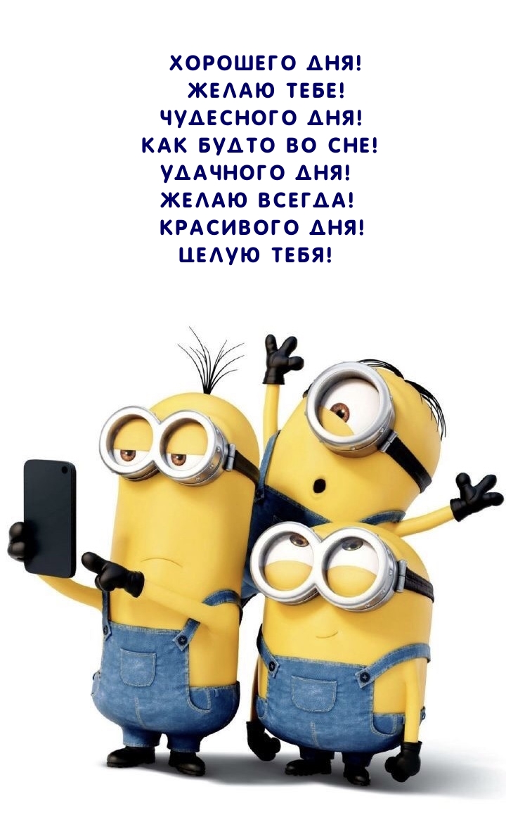 Хорошего дня! Желаю тебе! Чудесного дня! Как будто во сне!