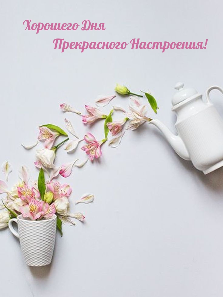 Хорошего Дня Прекрасного Настроения!