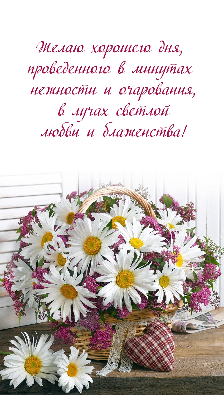 Хорошего дня, проведённого в минутах нежности и очарования