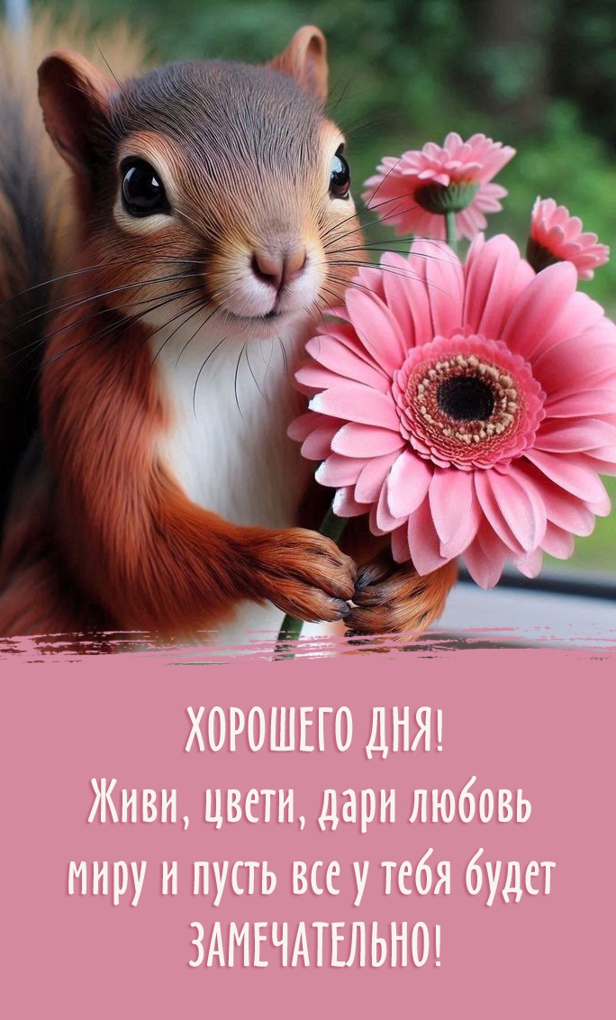 Хорошего дня! Живи, цвети, дари любовь 