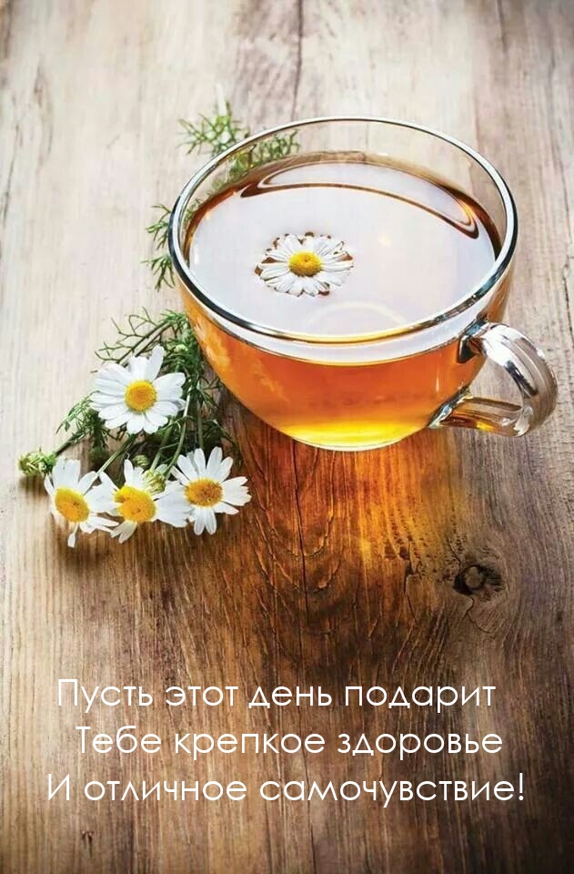 Пусть этот день подарит крепкое здоровье и отличное самочувствие!