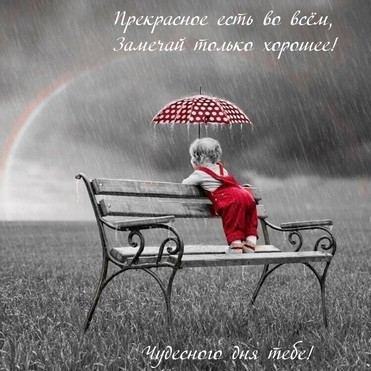 Прекрасное есть во всём, замечай только хорошее! Чудесного дня!