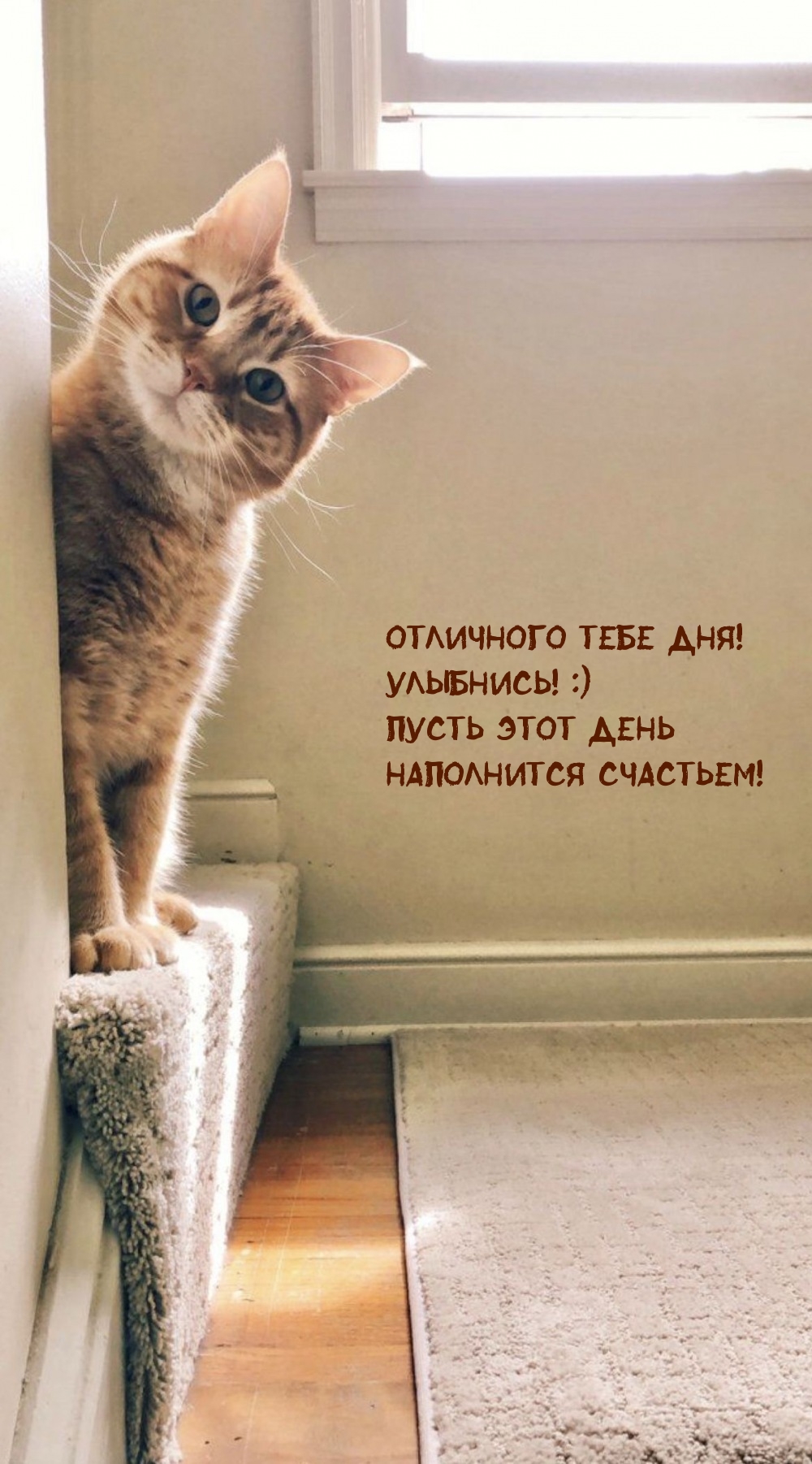 Отличного дня! Улыбнись! Пусть этот день наполнится счастьем!