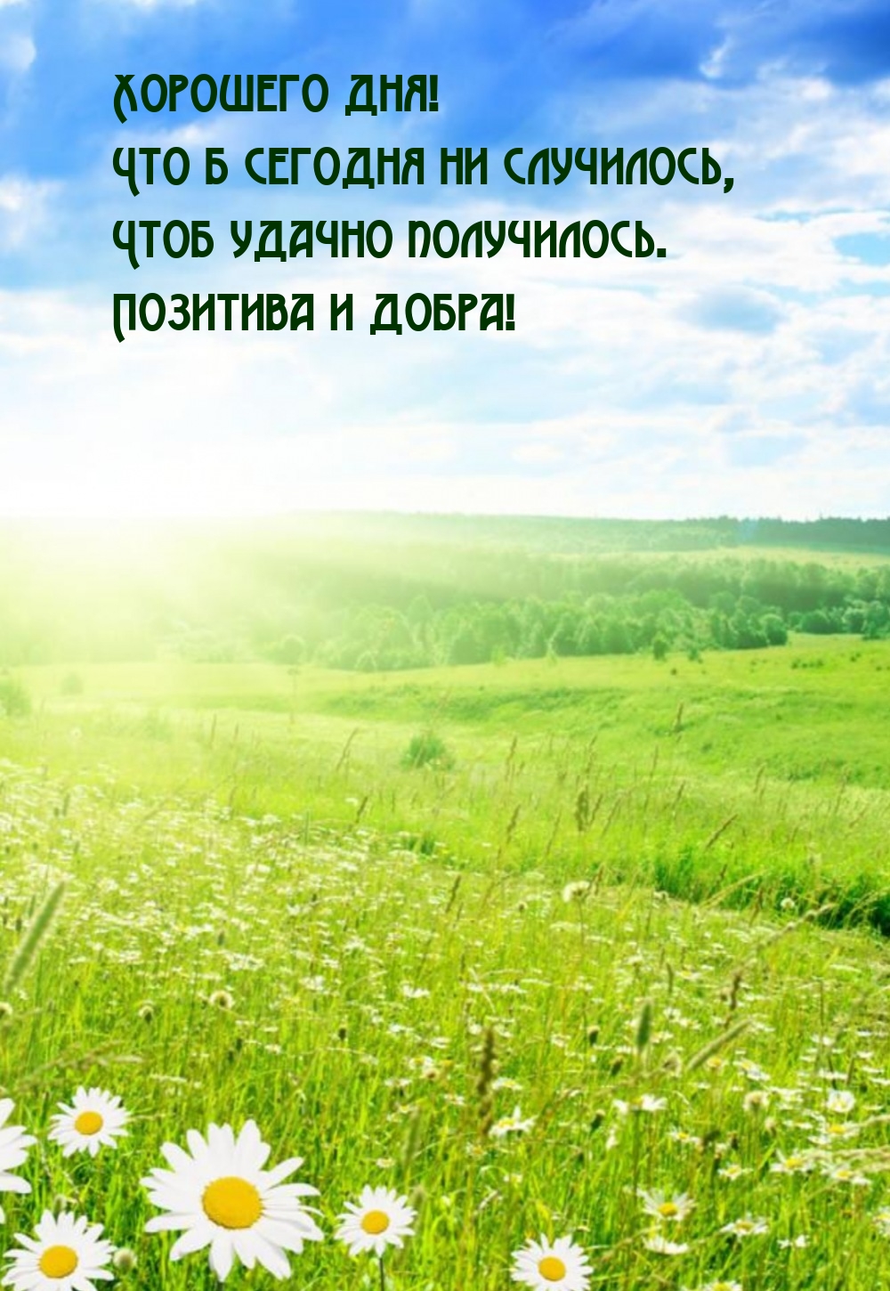 Хорошего дня! Что б сегодня ни случилось