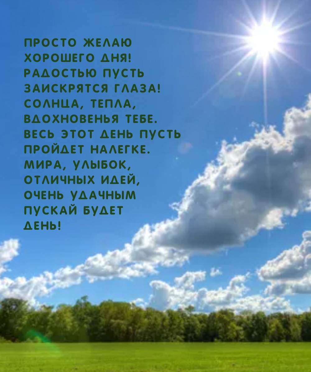 Просто желаю хорошего дня! Радостью пусть заискрятся глаза!