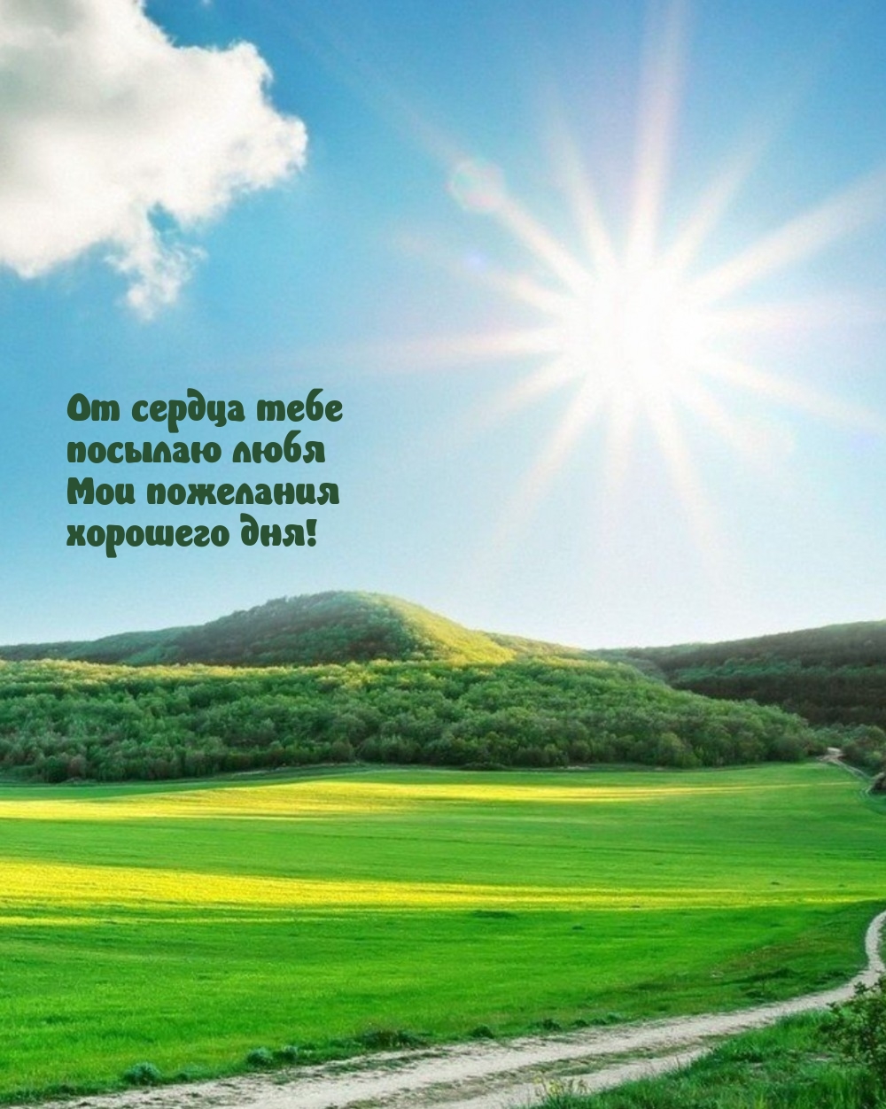 От сердца тебе посылаю любя мои пожелания хорошего дня!