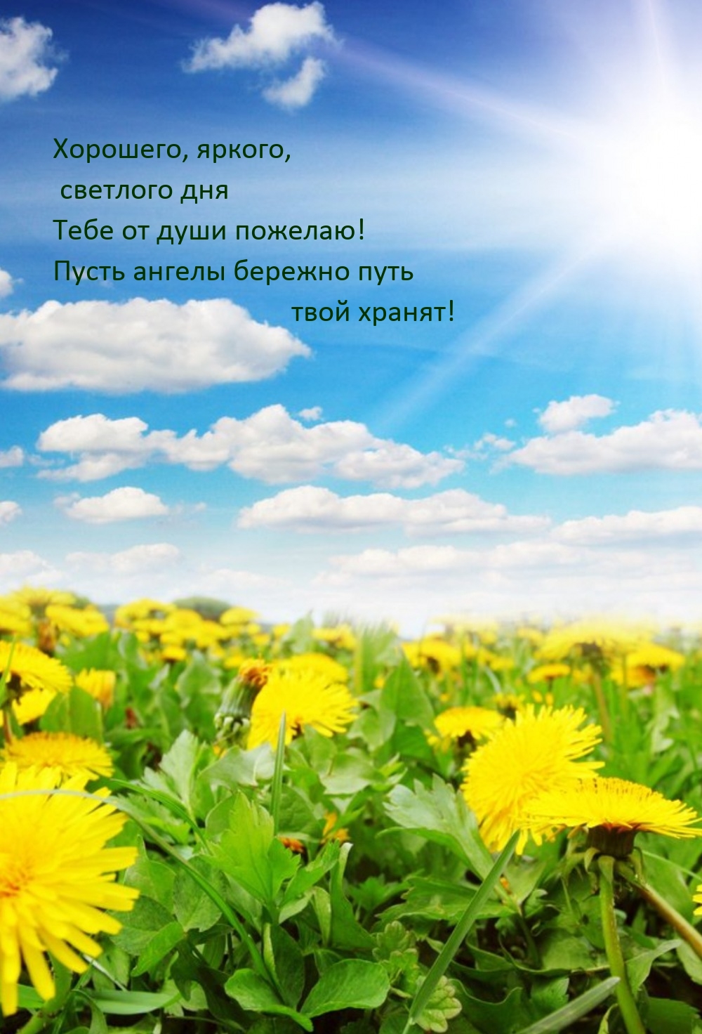 Хорошего, яркого, светлого дня тебе от души пожелаю!