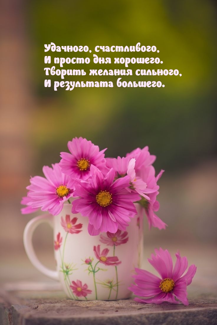 Удачного, счастливого, и просто дня хорошего. Творить желания сильного