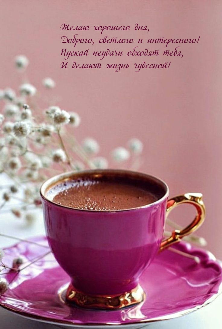 Желаю хорошего дня, доброго, светлого и интересного!