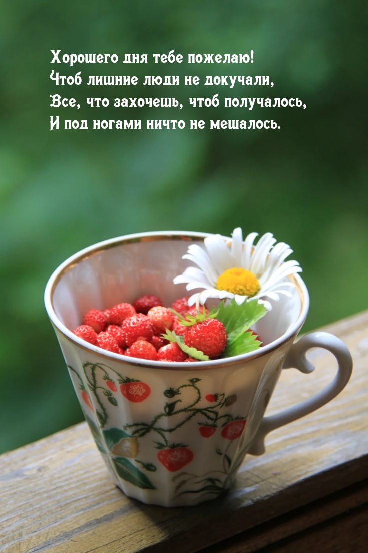 Хорошего дня тебе пожелаю! Чтоб лишние люди не докучали