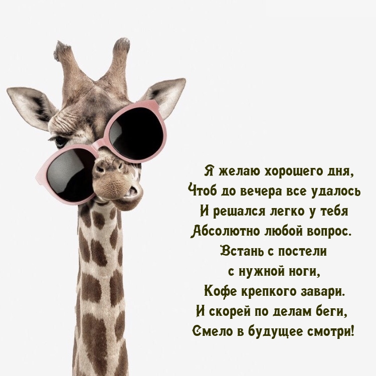 Я желаю хорошего дня, чтоб до вечера все удалось