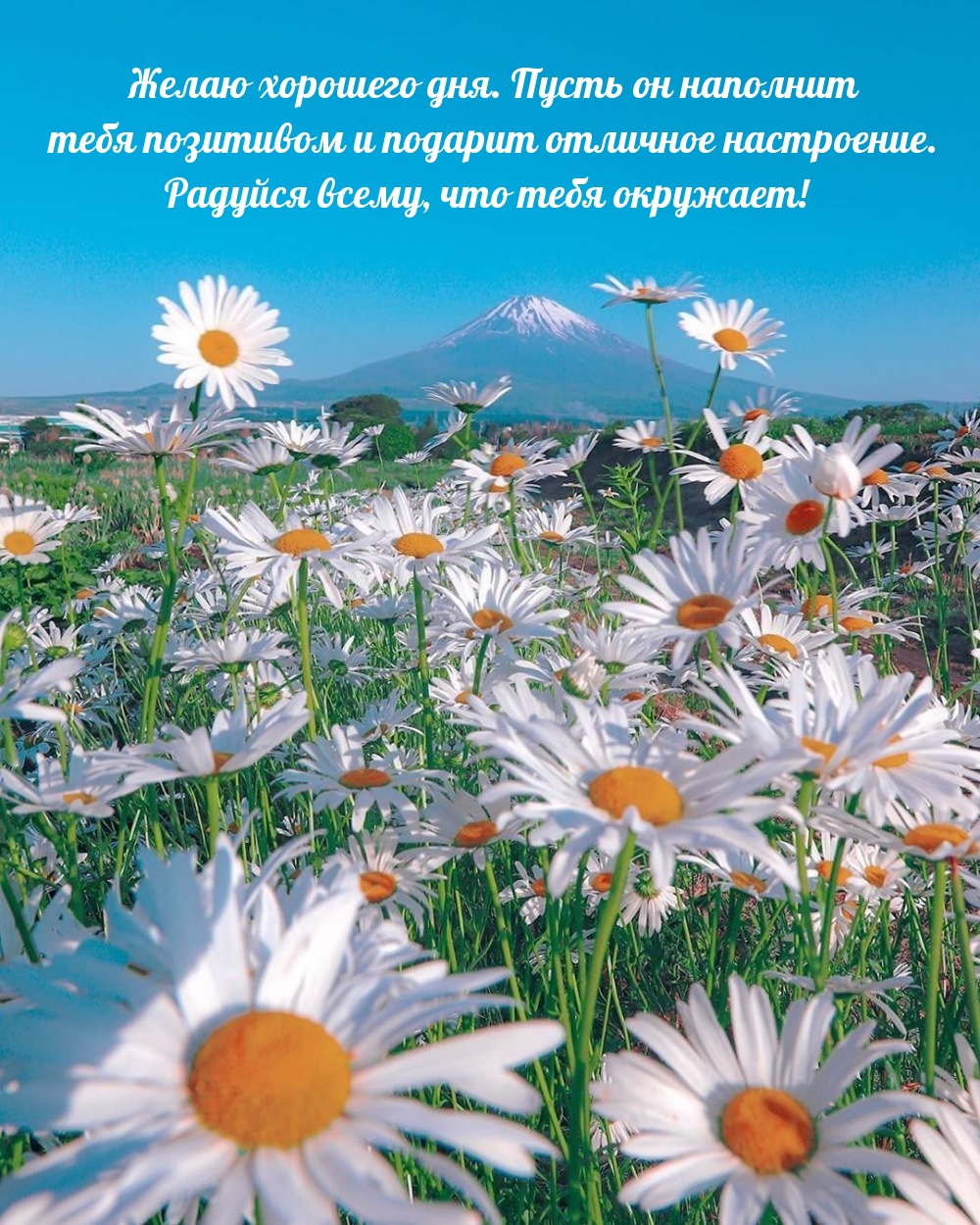Желаю хорошего дня. Радуйся всему, что тебя окружает!