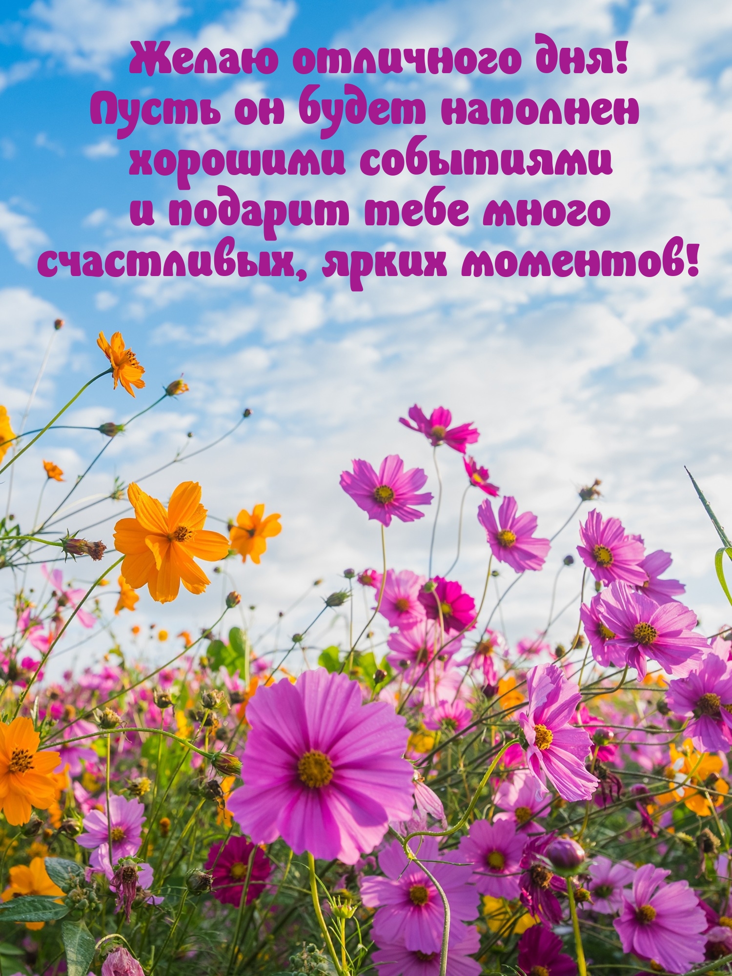 Отличного дня! Пусть он будет наполнен хорошими событиями 