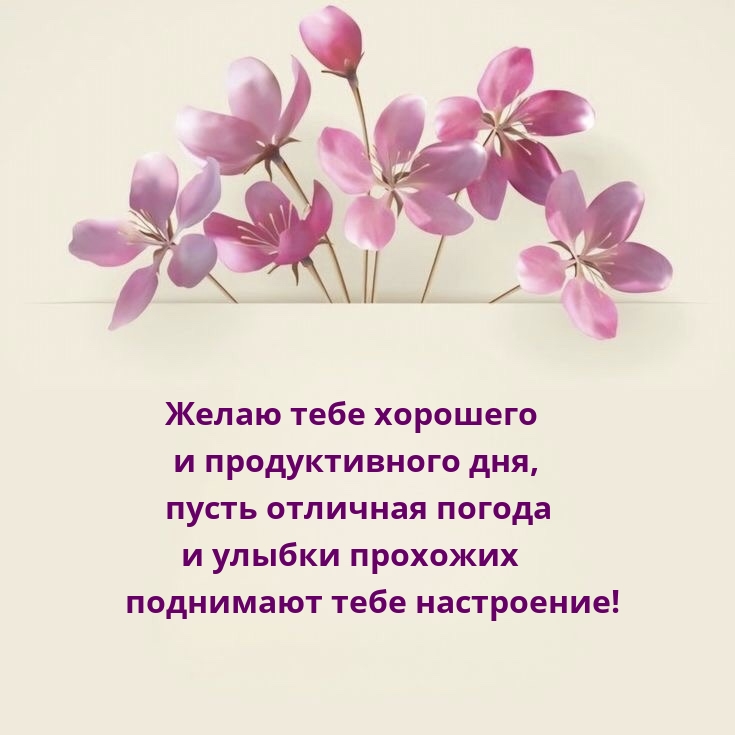Желаю тебе хорошего и продуктивного дня