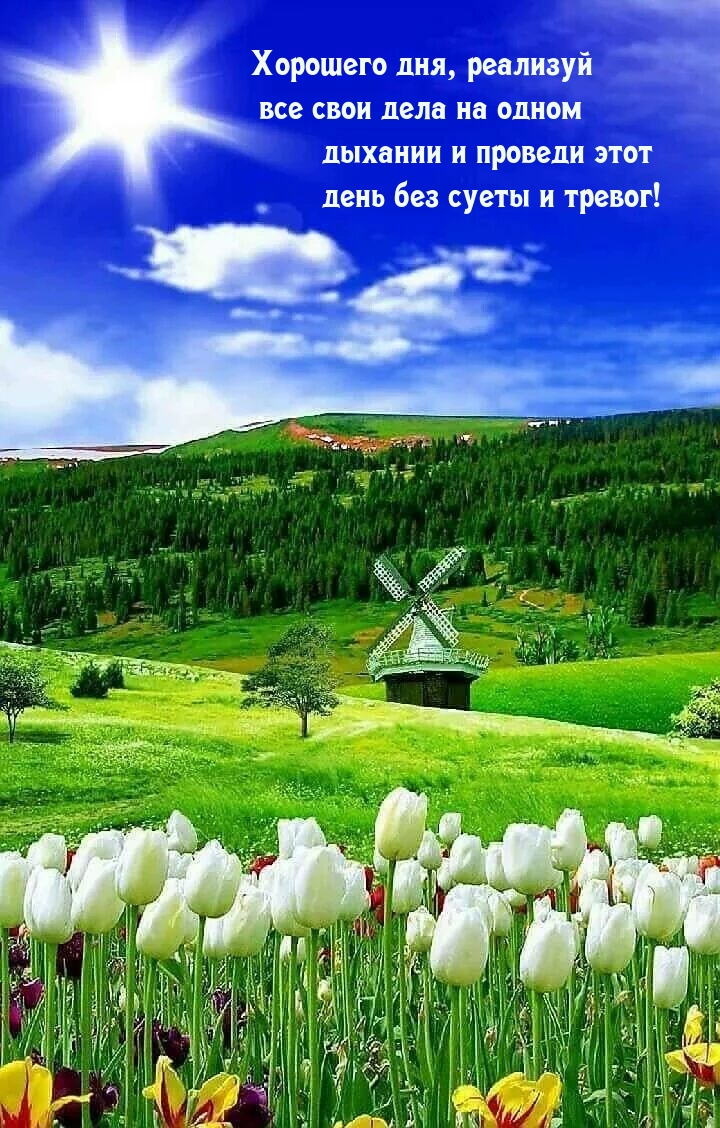 Хорошего дня, реализуй все свои дела на одном